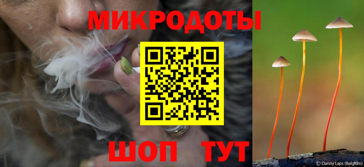 Галлюциногенные грибы прущие грибы  Вход с VPN  Гусь-Хрустальный 