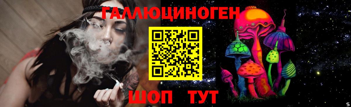 Псилоцибиновые грибы Psilocybe Гусь-Хрустальный